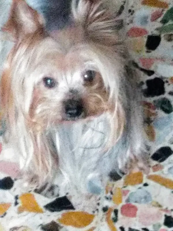 Zoe